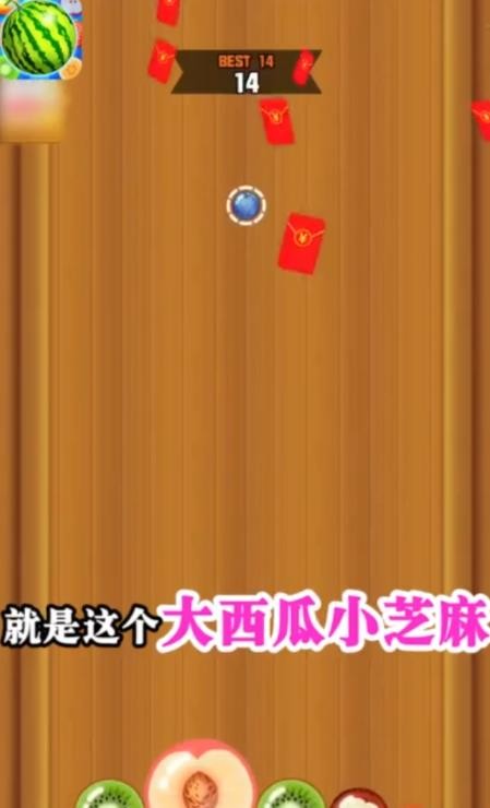 小芝麻大西瓜