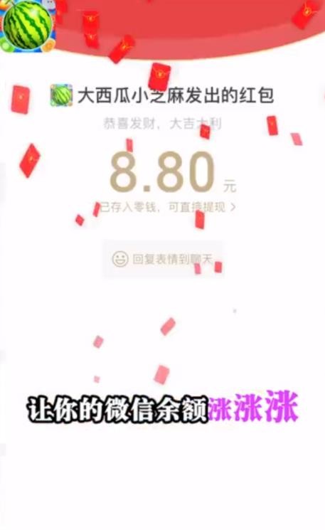 小芝麻大西瓜