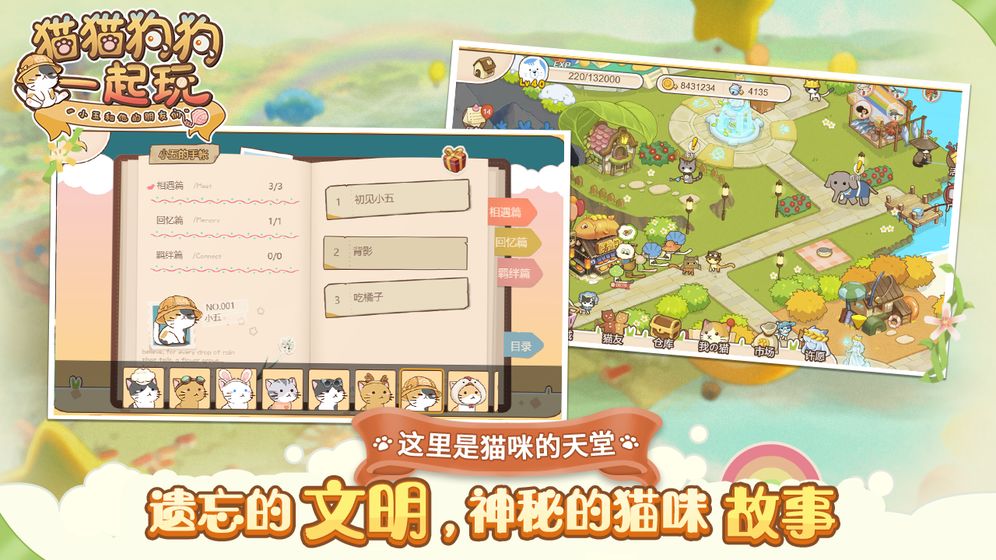 貓貓狗狗一起玩