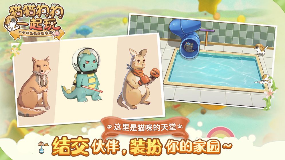 貓貓狗狗一起玩