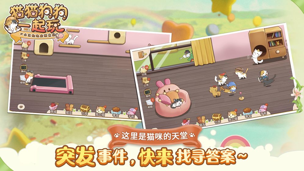 貓貓狗狗一起玩