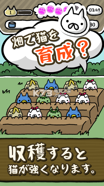 喵喵圓滾滾