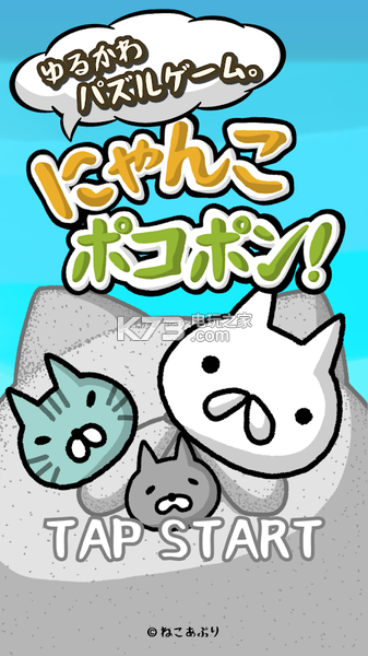 喵喵圓滾滾