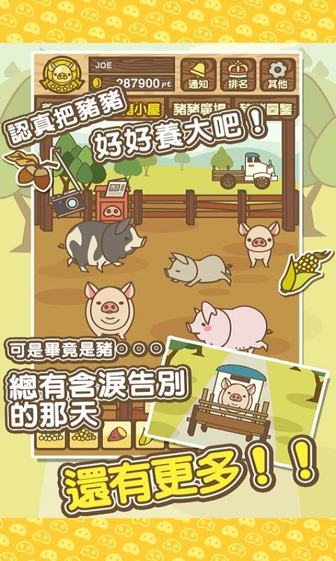養(yǎng)豬場MIX