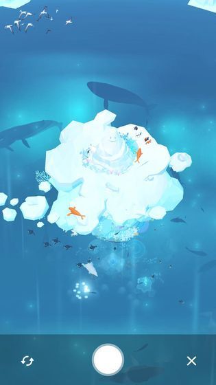 金多多水族館
