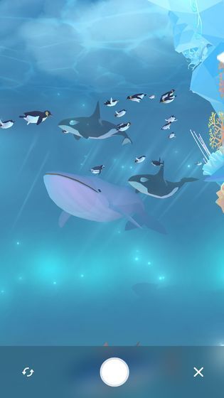 金多多水族館