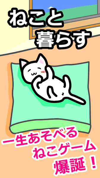 貓貓生活