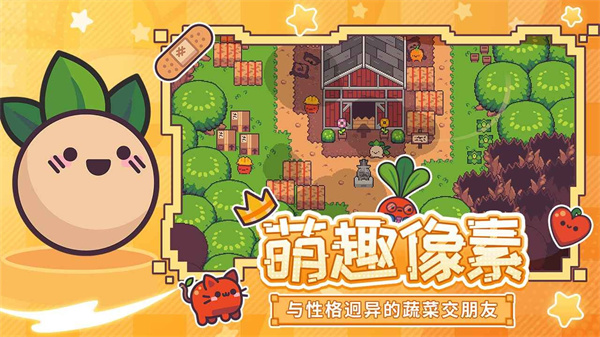 大頭菜菜歷險記