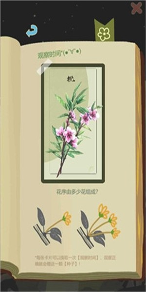 老農種樹