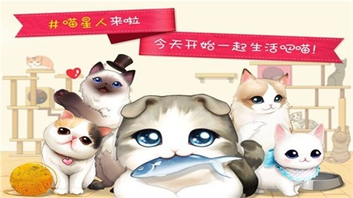 貓貓咖啡屋