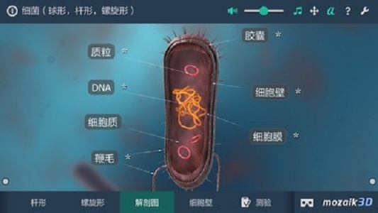 細菌互動教育3D