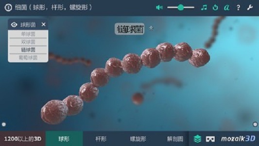 細菌互動教育3D