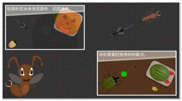 螞蟻進化世界