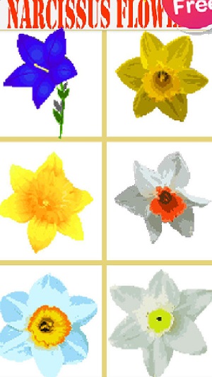 玉蘭花像素藝術(shù)