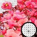 玉蘭花像素藝術