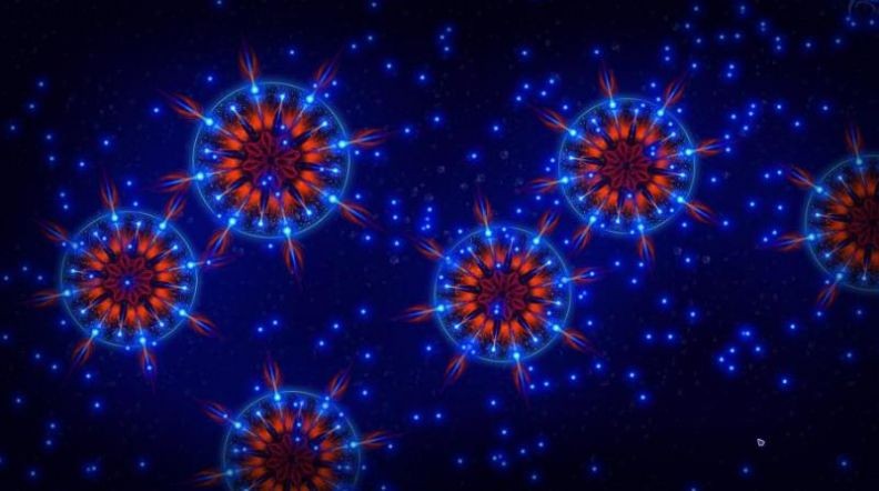微生物生存戰(zhàn)
