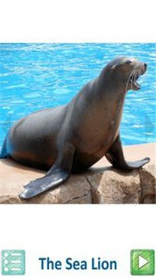 教孩子動物聲音