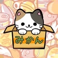 公園里的野貓
