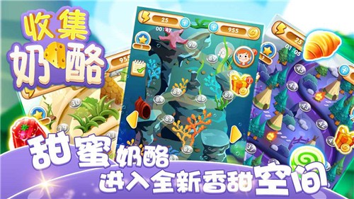 收集奶酪