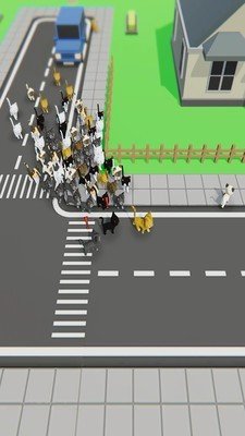 尋找貓咪