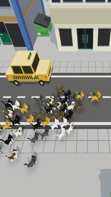 尋找貓咪