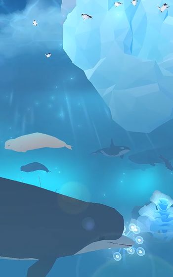 深海水族館極地