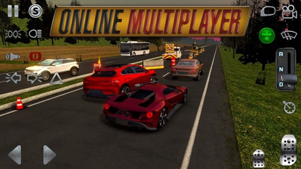 Real Driving Sim