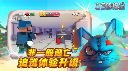 白宮躲貓貓