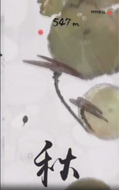 墨蝦探蝌2