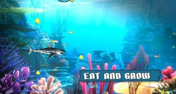 魚缸之王大魚吃小魚