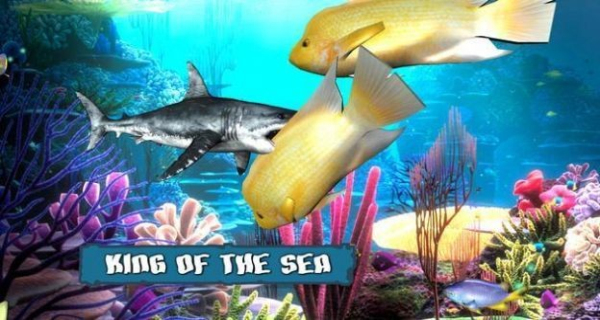 魚缸之王大魚吃小魚