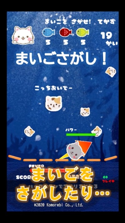 貓咪來襲