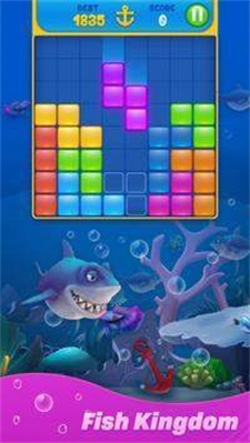 塊拼圖水族館