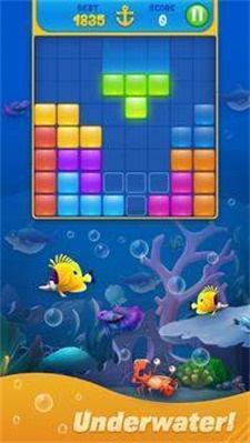 塊拼圖水族館
