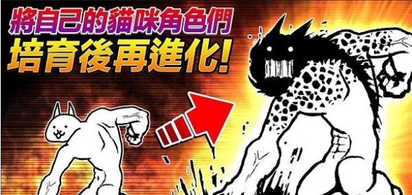 貓咪大作戰