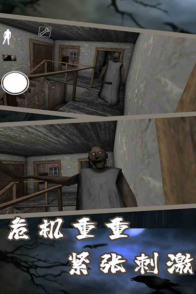 恐怖老奶奶正版