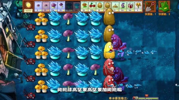 植物大戰僵尸融合版黑夜版