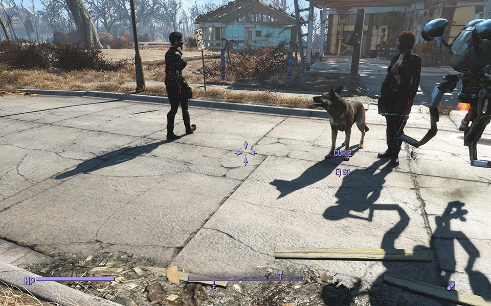 輻射4多人隨從mod