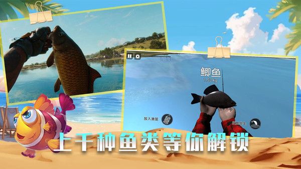 垂釣高高手