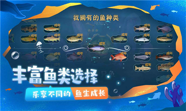 一只魚正版