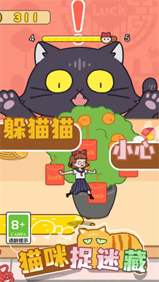 貓咪捉迷藏