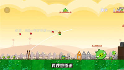 植物大戰僵尸搗蛋豬版