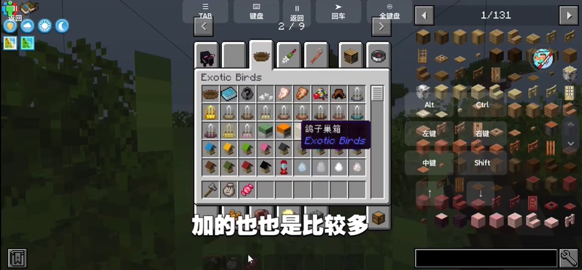 自然之旅