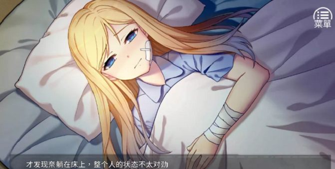 奈的調教日記