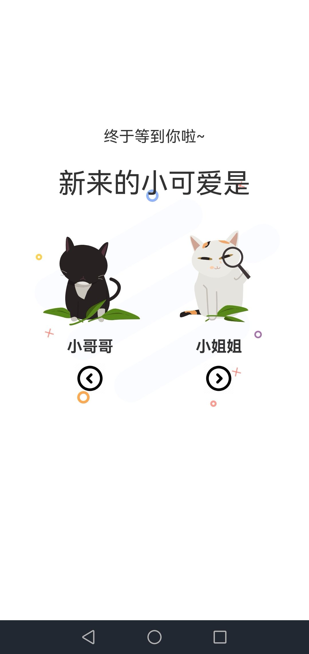 喵上二次元漫畫
