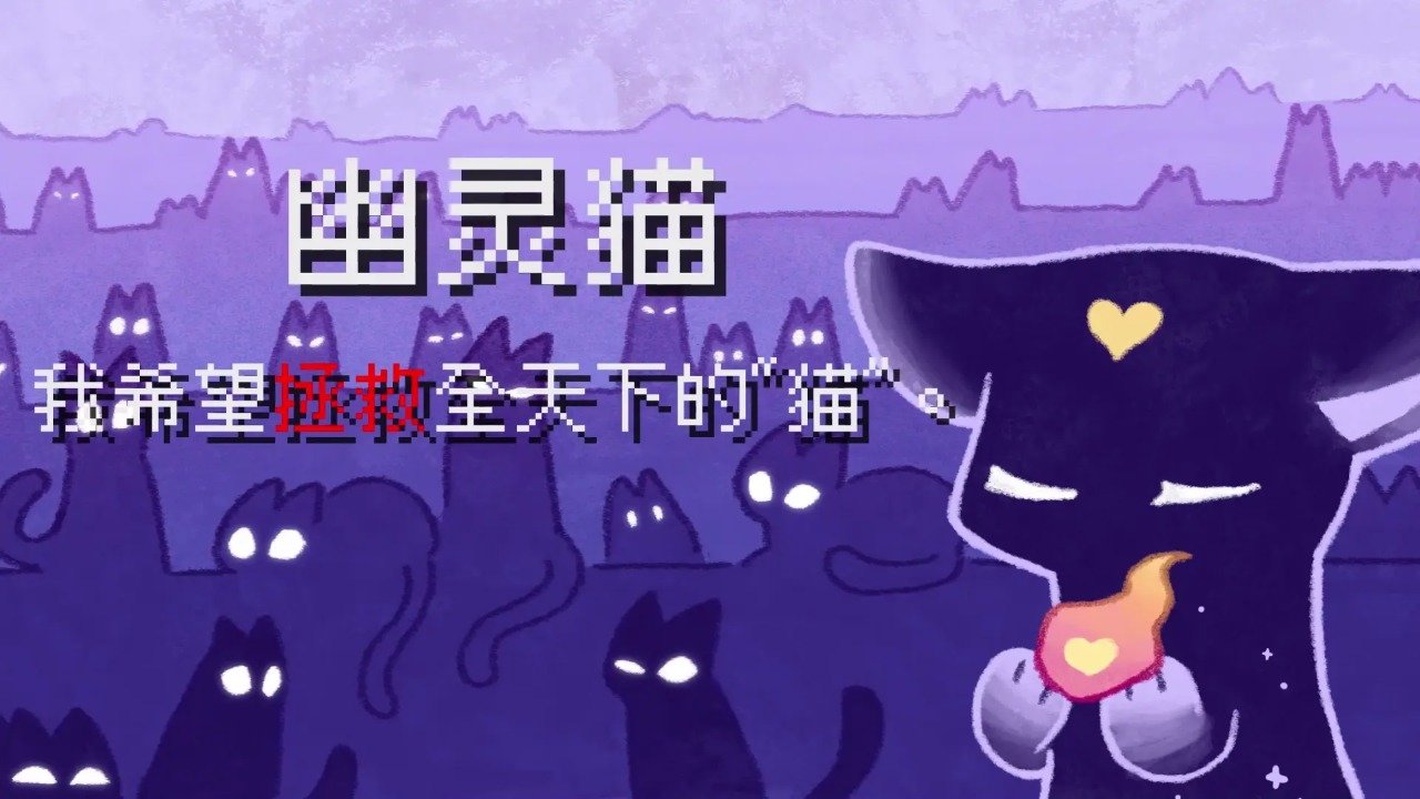 對人類過敏的貓