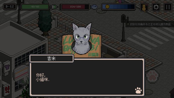 流浪貓的故事