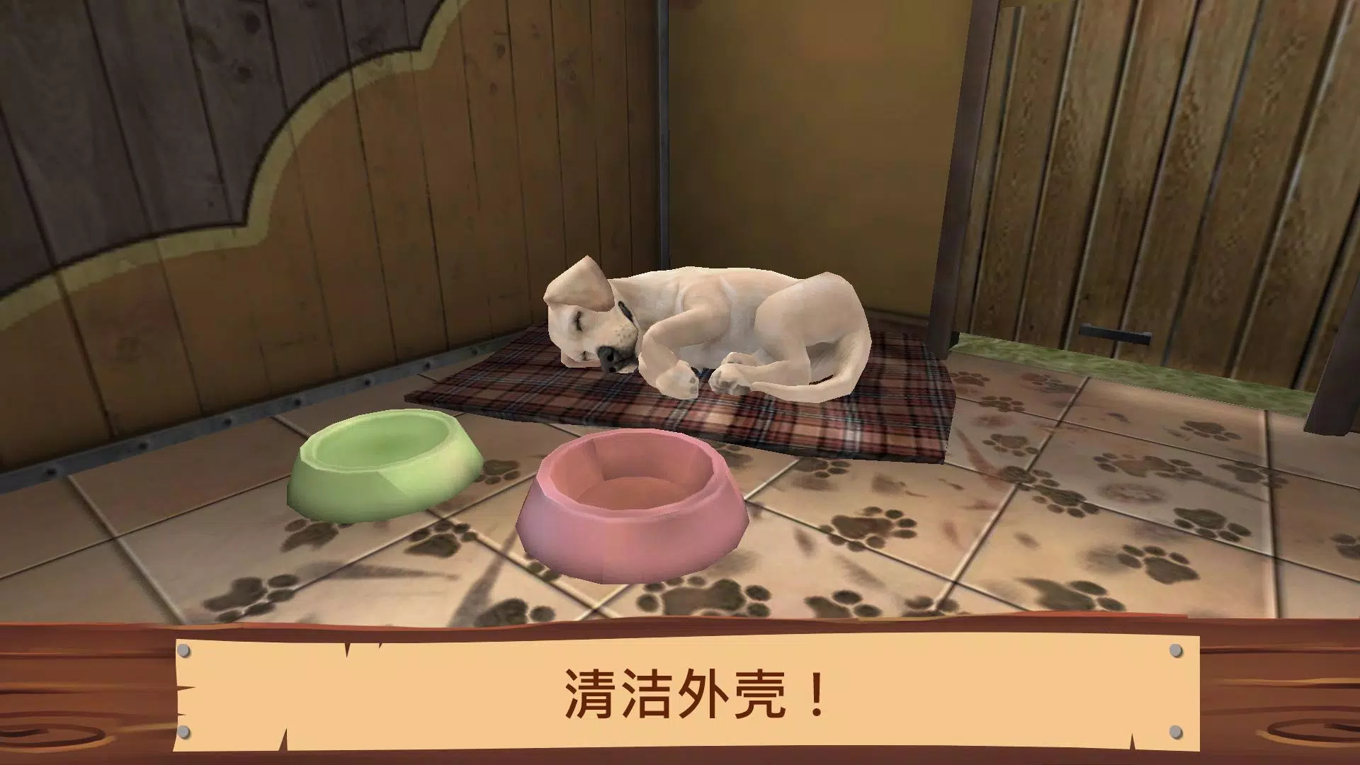 寵物世界