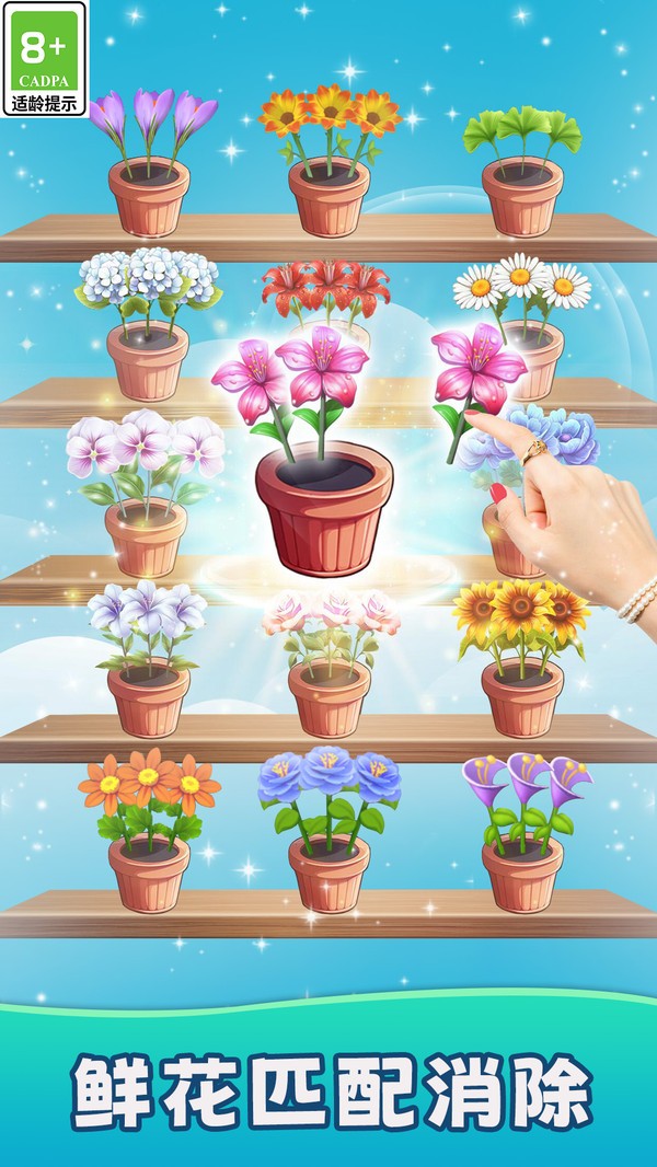 鮮花收納