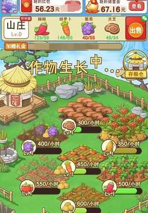 王大錘的鄉村人生